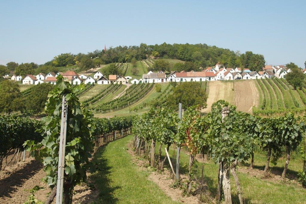 Gaestehaus Weinviertel - Niederoesterreich Siebenhirten Exterior photo